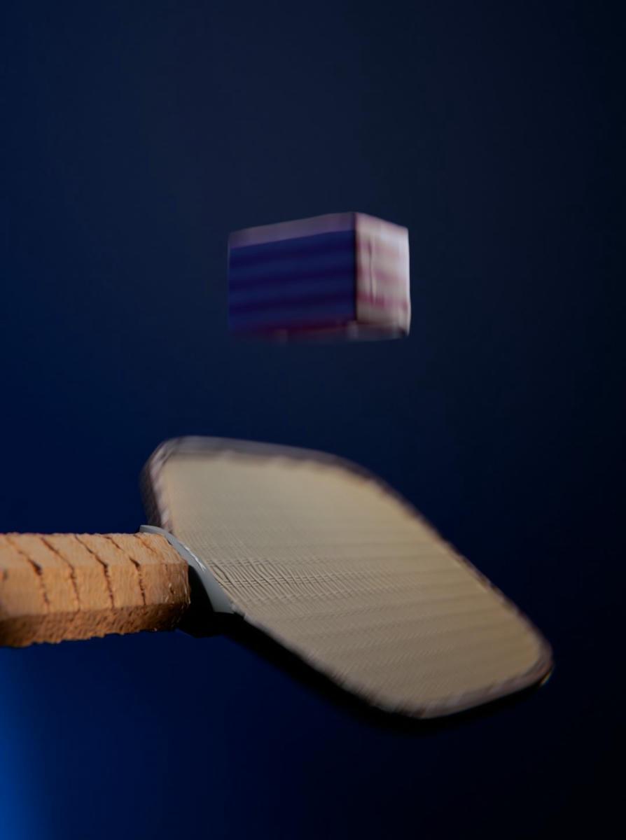 3D Animation: Balanced Raya Diet with Pickle Ball 1