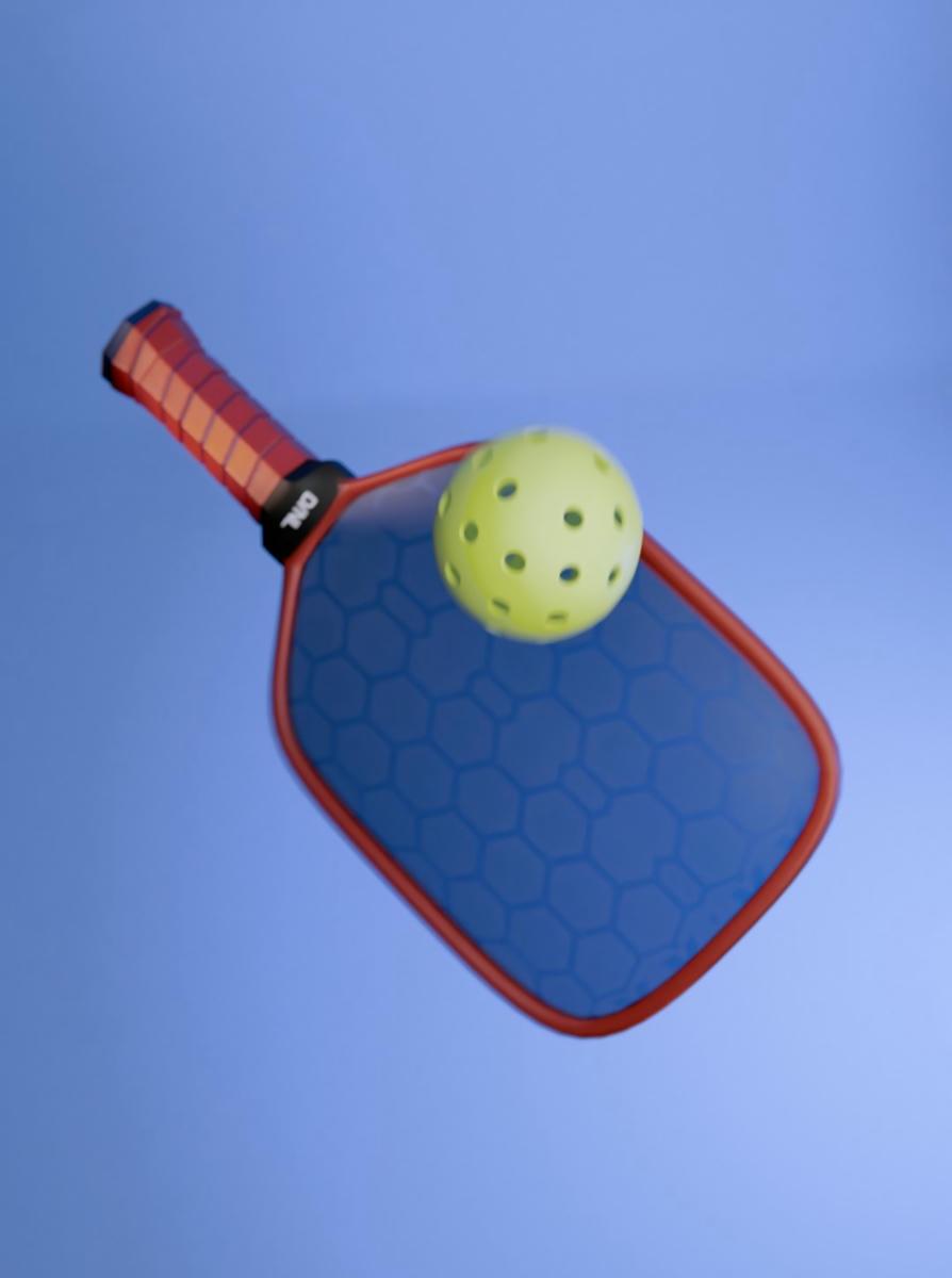 3D Animation: Balanced Raya Diet with Pickle Ball 2